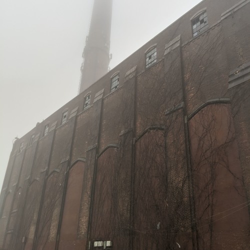 Cody ChesnuTT - Loop This Royalty