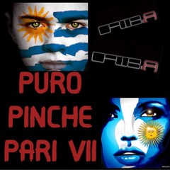 Puro Pinche Pari 7 (Latin Mixtape)
