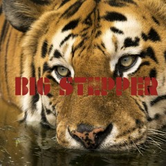 Big Stepper (remix)