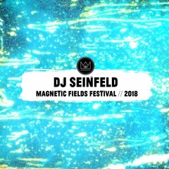 DJ Seinfeld @ Magnetic Fields Festival 2018