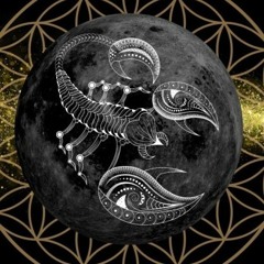 Dance Hit - One Song - Dj Flako - Music 2020 DownLoand