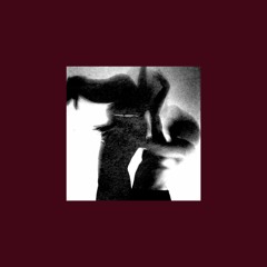 Anechoic - Aestivation Hypothesis [DVNTT019]