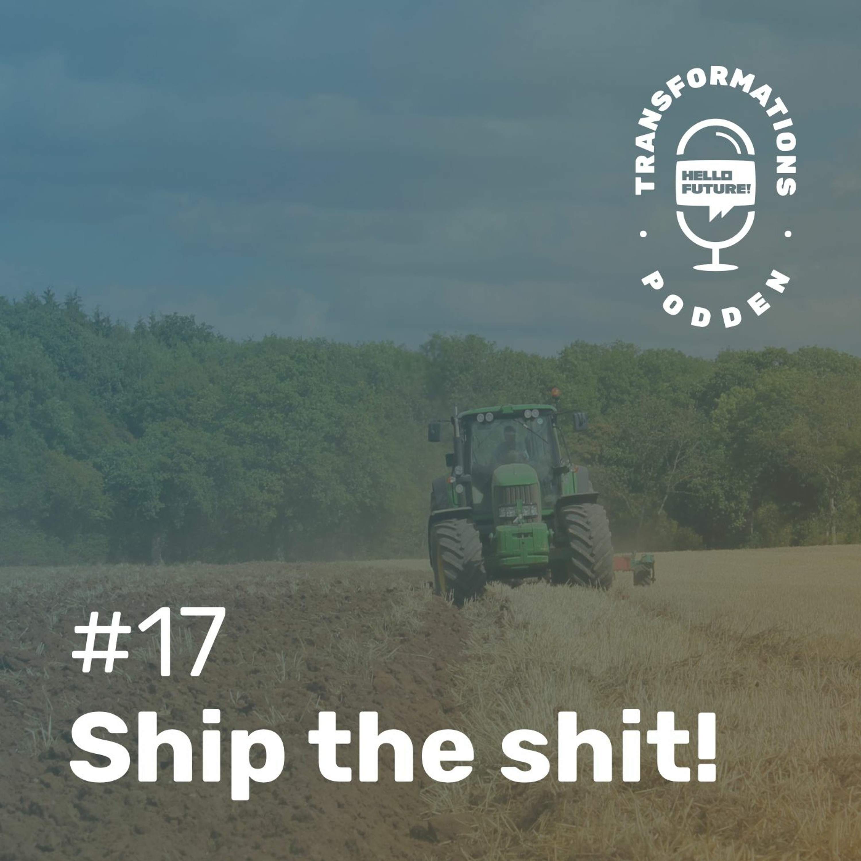 #17 - Ship the Shit!