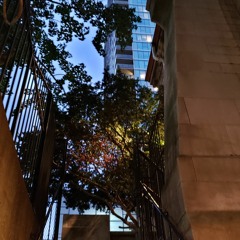 collabs with the sailorman