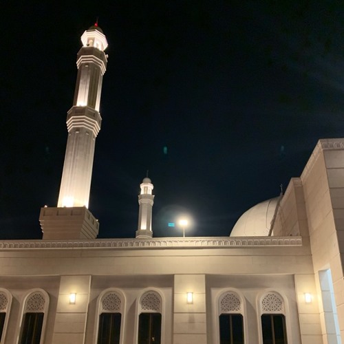 تلاوة من سورة الحج للقارئ بدر التركي فجر الأربعاء ٢٠-٥-١٤٤١هـ