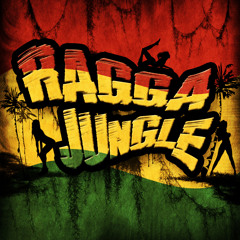 Ragga Jungle - Drum n Bass Mix