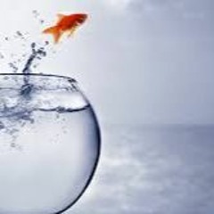 Mikey Marv - Jump Out Gang