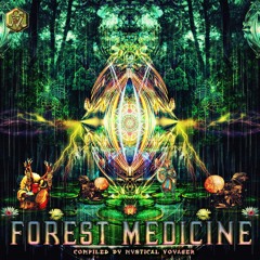 Airlift (OUT NOW on Visionary Shamanics VA Forest Medicine)