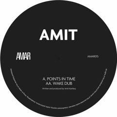 AMIT - Wake Dub [AMAR015]
