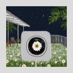 ลานดอกไม้ - ยามราตรี