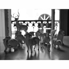 Carmen Ficuum - DE VACAS