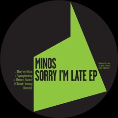 MINOS - AQUAPLANING