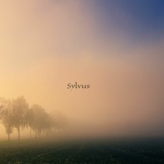 Sylvus