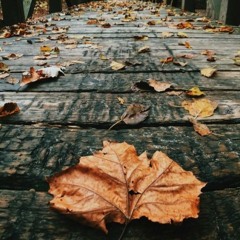 عبادة المضطرب .. | الشيخ: أحمد عبد المنعم