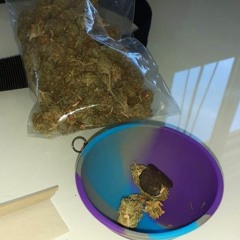 @fvcgus & @fvckola - 766 Style (prod.@fvcrose)