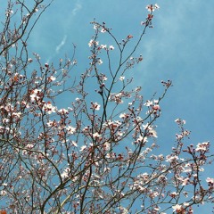 la vie en rose