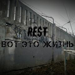 Вот это жизнь