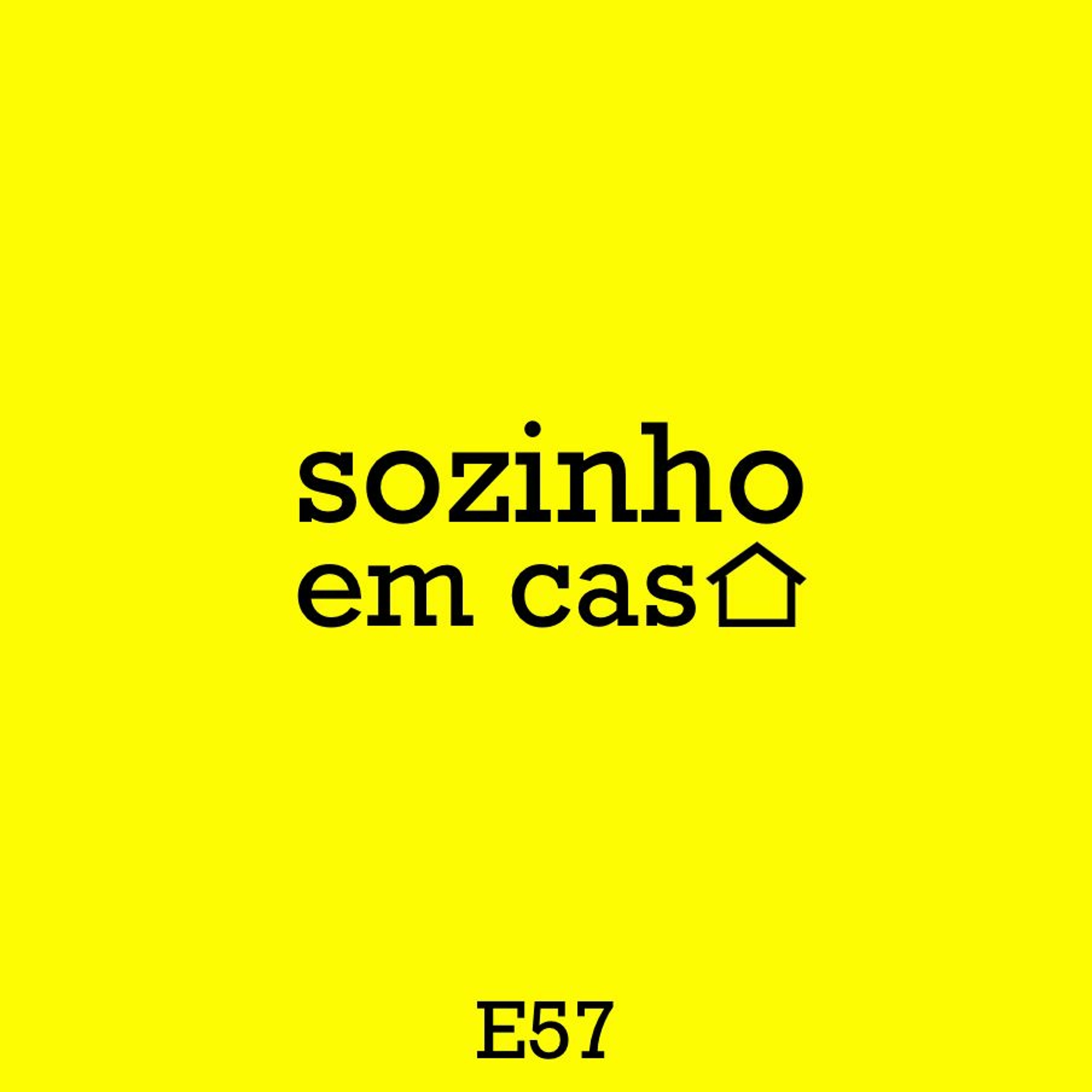sozinho em casa