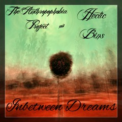 Inbetween Dreams (feat. Hectic Bins)