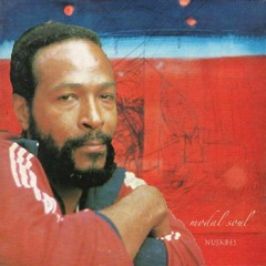 Sexual Horizon (Nujabes x Marvin Gaye)