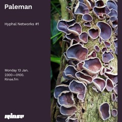 Paleman Hyphal Networks #1