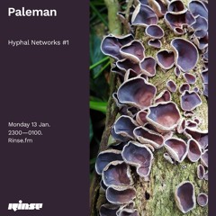 Hyphal Networks Radio Show