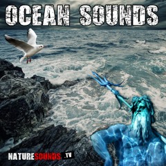 Ocean Ambience With Waves And Seagulls