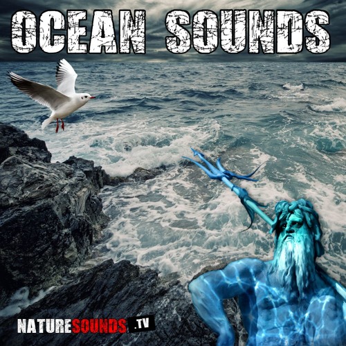 Ocean Ambience With Waves And Seagulls