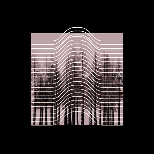 d.e.c.l.a.y - WeichWald 007