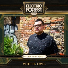 WHITE OWL LIVE FROM  ELECTRIC FOREST 2019 PT.1