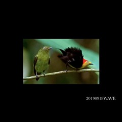 20190918WAVE prod. Heisenberg & StillJapan