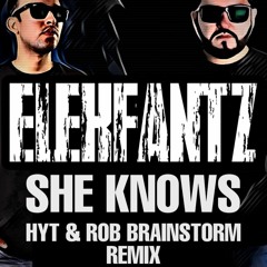 ELEKFANTZ - SHE KNOWS (HYT AND ROB BRAINSTORM REMIX) - M2