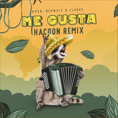 HACOON - Me Gusta (Remix)