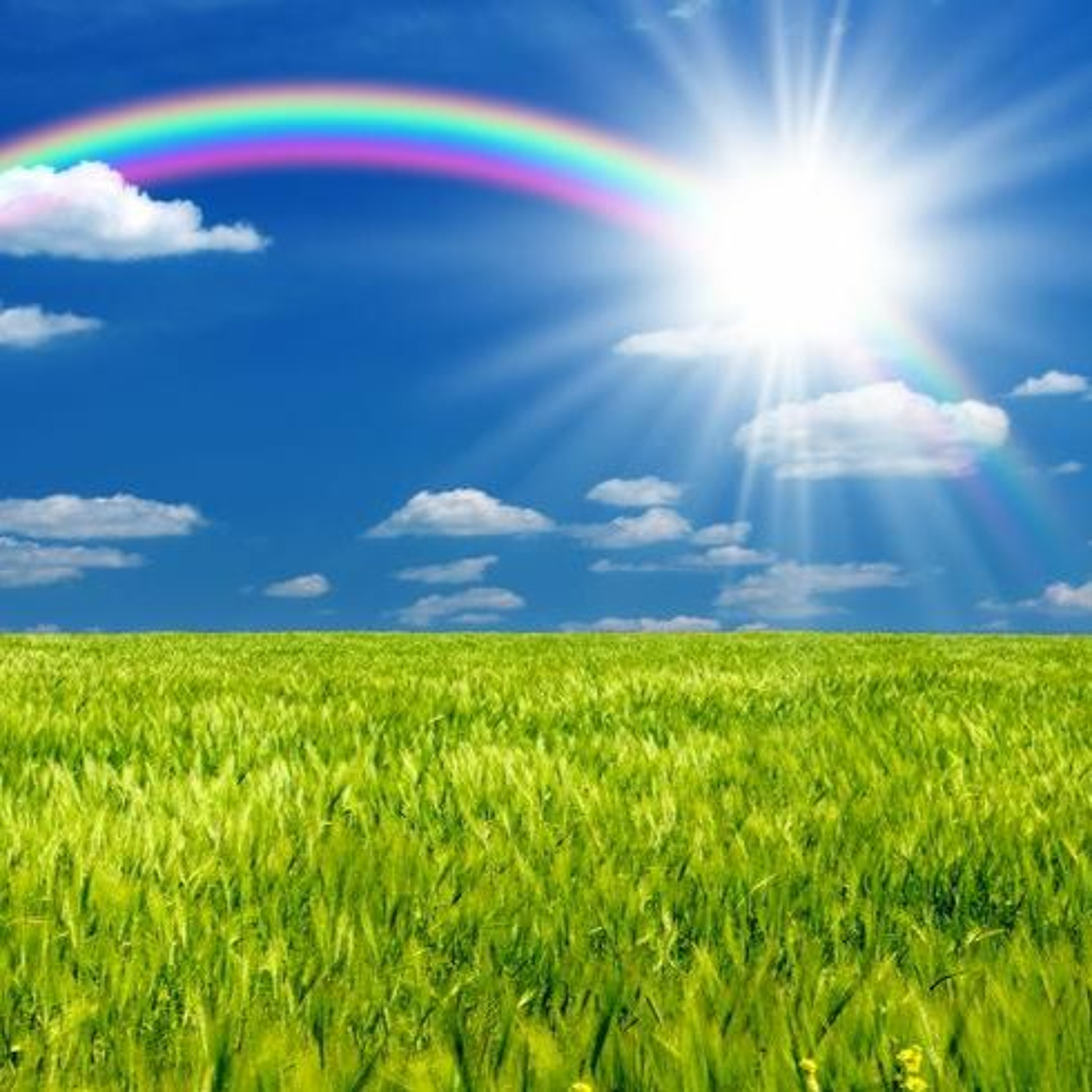 Выпуск №4 Как жить дальше?