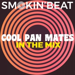 Cool Pan Mates - In The Mix