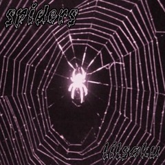 Spiders (prod Taurs)