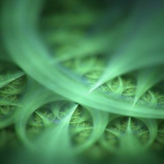 Aya Visionary 2020 - Live in Costa Rica