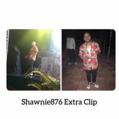 Shawnie876 - EXTRA CLIP (Brik Pan Brik Riddim)