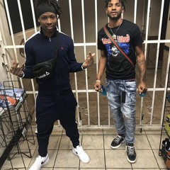 Siddakid montana X Jungle