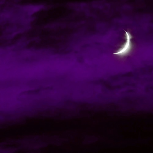 free my mind [prod. noria]