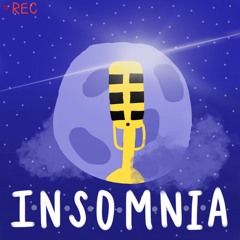 THE FINAL INSOMNIA