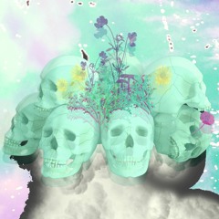new aurora