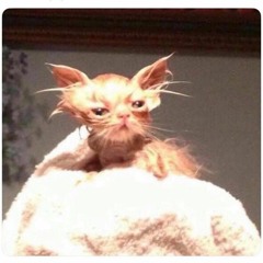 Eptic X Skrillex - No Mercy X Chicken Soup [Ricky West Flip] (TDS Mashup)