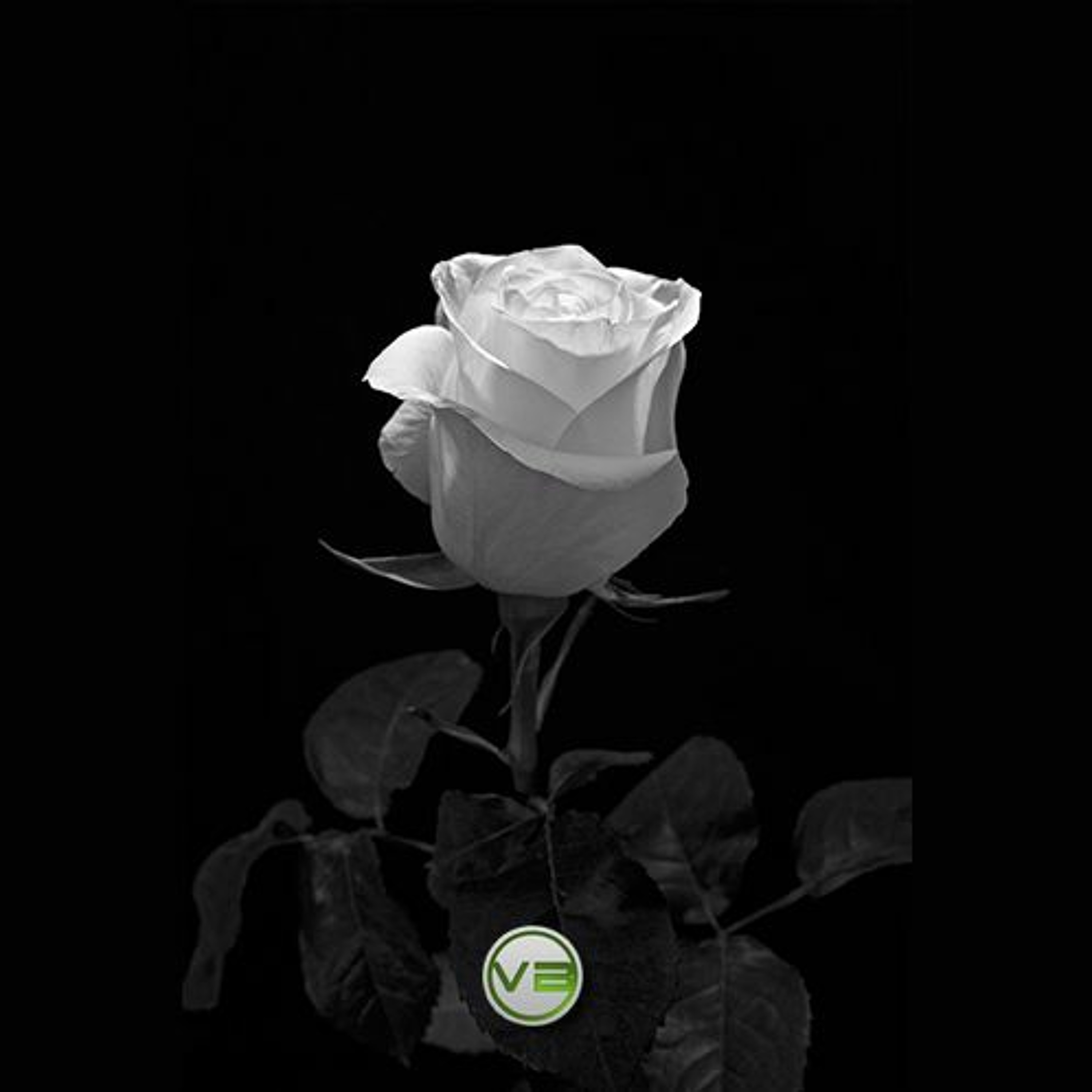 Know Yourself - Prod. Vizual (SOLD) episode artwork