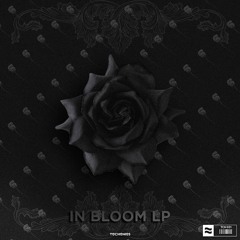 Fillon & Lunar Traveler - Revival (Intro)