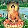 Trích Những Pháp Thoại Của Đức Phật Trong Phim Cuộc Đời Đức Phật Thích Ca Mâu Ni (Buddha) - Tập 1