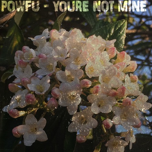 Powfu - You're Not Mine