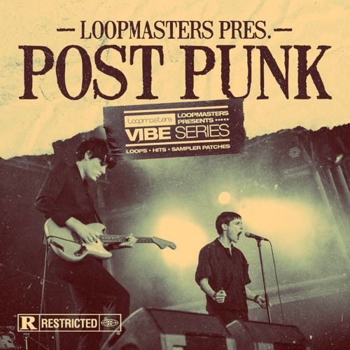 Loopmasters VIBES 13 Post Punk WAV REX