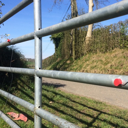 Cattle Gate with Contact Mics