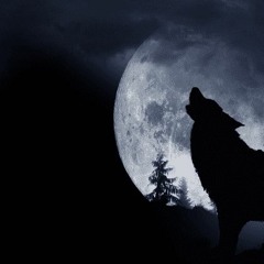 The Moon Of The Wolf